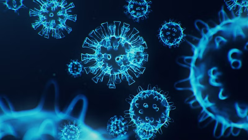 HMPV Hits India: Two Infants with No Travel History Test Positive for HMPV in Bengaluru